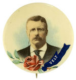 THEODORE ROOSEVELT CHOICE FULL COLOR REBUS BUTTON.