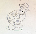 DONALD DUCK PENCIL DRAWING FROM HONEY HARVESTER.