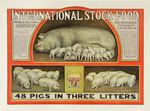 "INTERNATIONAL STOCK FOOD/48 PIGS IN THREE LITTERS" EARLY 1900's LINEN MOUNTED POSTER.