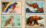 "CALIFORNIA ANIMALS/BIRDS" BREAD CARD PREMIUM ALBUMS.