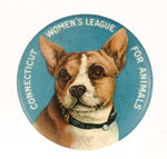 SUPERB COLOR EARLY ANIMAL WELFARE BUTTON.