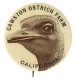 “CAWSTON OSTRICH FARM/CALIFORNIA” EARLY BUTTON FROM HAKE COLLECTION AND CPB.