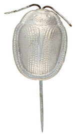 BRYAN 1900 SILVER BUG STICKPIN.