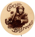 FAMOUS CIGAR SMOKING CHIMPANZEE BUTTON TITLED "CONSUL AT BOSTOCK'S."