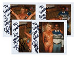 ADULT FILM STAR GINGER LYNN AUTOGRAPH LOT.