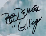 "GILLIGAN'S ISLAND" SIGNED PAIR.