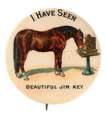 "BEAUTIFUL JIM KEY" THE HORSE THAT LAUNCHED THE ANIMAL RIGHTS MOVEMENT IN EARLY 19th CENTURY.