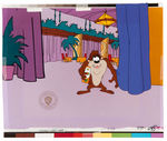 WARNER BROTHERS LOONEY TUNES ANIMATION CEL PAIR.