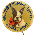 EARLY ANIMAL WELFARE BUTTON.