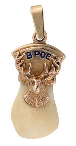 ELKS FRATERNAL WATCH CHAIN CHARMS OF ELK'S TEETH IN GOLD MOUNTS.