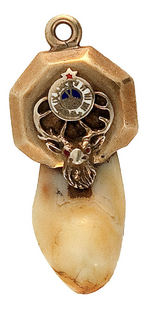 ELKS FRATERNAL WATCH CHAIN CHARMS OF ELK'S TEETH IN GOLD MOUNTS.