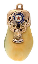 ELKS FRATERNAL WATCH CHAIN CHARMS OF ELK'S TEETH IN GOLD MOUNTS.