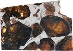 STONEY-IRON PALLASITE METEORITE SLICED SPECIMEN LOT.