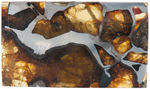 STONEY-IRON PALLASITE METEORITE SLICED SPECIMEN LOT.