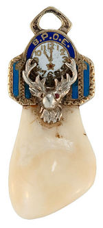 ELKS FRATERNAL WATCH CHAIN CHARMS OF ELK'S TEETH IN GOLD MOUNTS.