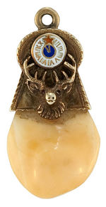 ELKS FRATERNAL WATCH CHAIN CHARMS OF ELK'S TEETH IN GOLD MOUNTS.