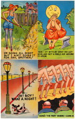 RISQUE/PIN-UP/HUMOR POSTCARD LOT.