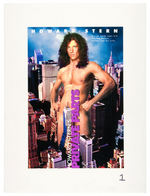 HOWARD STERN "PRIVATE PARTS" MOVIE POSTER DESIGNS LOT.