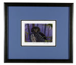 GARY BURGHOFF SIGNED "EYE TO EYE IV" FRAMED CALIFORNIA PYGMY OWL LITHOGRAPH.