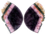 LIDDICOATITE/TOURMALINE CARVED BUTTERFLY WINGS.