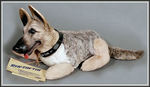 "RIN TIN TIN" IDEAL DOLL WITH ORIGINAL TAGS.