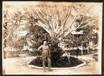 PHILIPPINE-AMERICAN WAR NAVY MAN'S PHOTO ALBUM WITH c. 1899-1902 IMAGES OF DEAD GUERILLA & SKULLS.