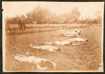 PHILIPPINE-AMERICAN WAR NAVY MAN'S PHOTO ALBUM WITH c. 1899-1902 IMAGES OF DEAD GUERILLA & SKULLS.