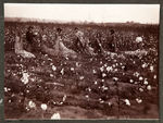 PHILIPPINE-AMERICAN WAR NAVY MAN'S PHOTO ALBUM WITH c. 1899-1902 IMAGES OF DEAD GUERILLA & SKULLS.