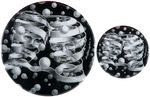 BRIAN CAMPBELL ORIGINAL ART FOR BUSH-CHENEY STATE OF UNION BUTTON PLUS BOTH LIMITED EDITION BUTTONS.