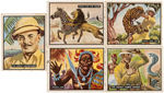 FRANK BUCK "BRING 'EM BACK ALIVE" TOPPS GUM CARD LOT.