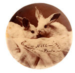 RARE EARLY EASTER REAL PHOTO BUTTON SHOWING TWO RABBITS.