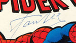 COMIC BOOK LEGENDS SIGNED TREASURY COMIC BOOK PAIR - CARMINE INFANTINO/STAN LEE & NEAL ADAMS.