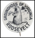 RARE "ROOSEVELT GROUNDHOGS OF VIRGINIA."