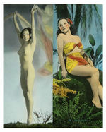 "EXCLUSIVE CALENDARS FROM BARBARA ANN COLEMAN STUDIOS" IMPRESSIVE CALENDAR PORTFOLIO.