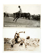 RODEO PHOTO POSTCARD LOT.