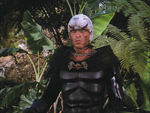 "BUCK ROGERS IN THE 25th CENTURY" SCREEN-WORN "TIME OF THE HAWK" HAWK BODY ARMOR SETS WITH CAPE.