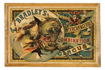 "BRADLEY'S INTERCHANGABLE COMBINATION CIRCUS/PATENTED MAY 30, 1882."