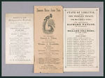 CLEVELAND/TILDEN/TAYLOR VIRGINIA CAMPAIGN BALLOTS.