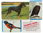 DOG AND BIRD CEREAL PREMIUM CARDS SETS.