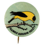 RARE AND EARLY "ILLINOIS AUDUBON SOCIETY" BUTTON.