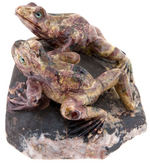 SERPENTINE CARVED FROGS STATUARY.