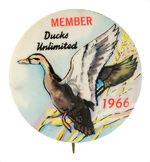 "DUCKS UNLIMITED MEMBER 1966" BUTTON.