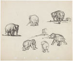 "DUMBO" ORIGINAL CONCEPT ART LOT.