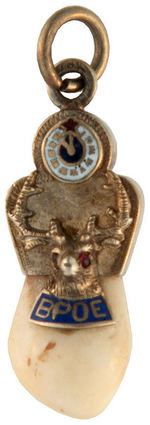 ELKS FRATERNAL WATCH CHAIN CHARMS OF ELK'S TEETH IN GOLD MOUNTS.