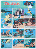 “TARZAN IN COLOR” COMPLETE 19 VOLUME SET REPRINTING THE FIRST 1014  SUNDAY PAGE COMIC STRIPS.