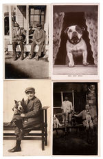 PUPPIES AND DOGS LOT OF 17 REAL PHOTO POSTCARDS.