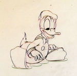 DONALD DUCK PENCIL DRAWING FROM AUTOGRAPH HOUND.