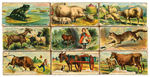 1890s CHILDS ALPHABET BLOCKS WITH CHOICE MULTI GRAPHICS.