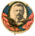 THEODORE ROOSEVELT BEAUTIFUL COLOR 1904 PORTRAIT BUTTON