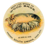 OUTSTANDING LIVE STOCK DEALER BUTTON PICTURING MOTHER PIG AND PIGLETS.